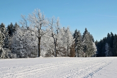 běžky Vysočina