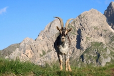 Dolomity 2025