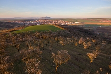 Hustopeče