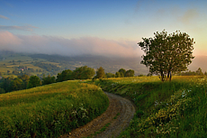 Bílé Karpaty
