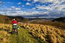 Předklášteří
