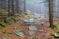 Malínská skála