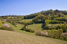 PP KŘIŽNÍK