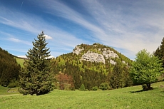 Slovensko