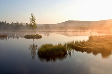 Šumava
