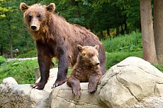 ZOO Brno
